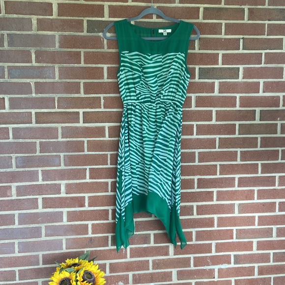 Silk Patterned Dress - Picture 7 of 14